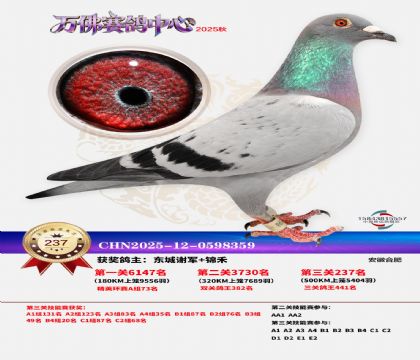 �����f��Qِ237��