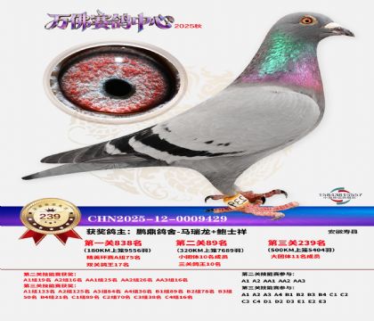 �����f��Qِ239��