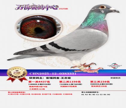 �����f��Qِ238��