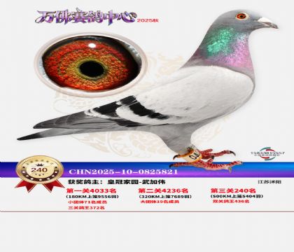 �����f��Qِ240��