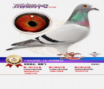 �����f��Qِ242��