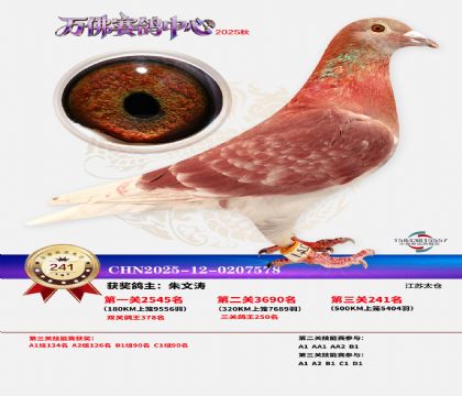 �����f��Qِ241��