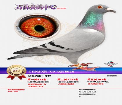 �����f��Qِ243��