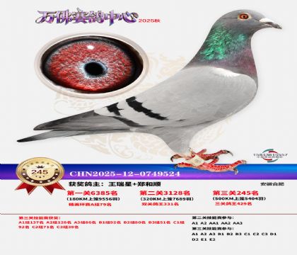 �����f��Qِ245��