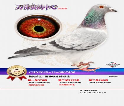 �����f��Qِ246��