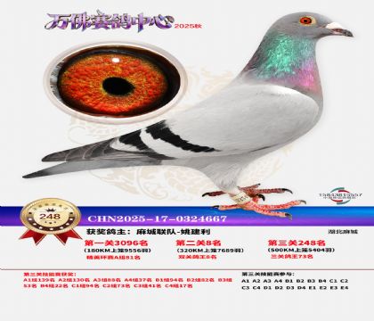 �����f��Qِ248��