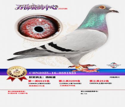 �����f��Qِ252��