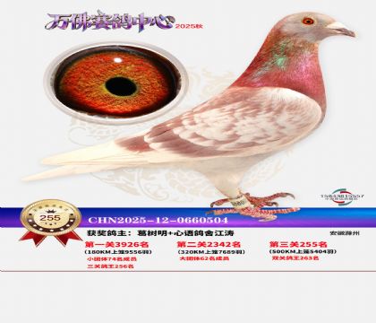 �����f��Qِ255��