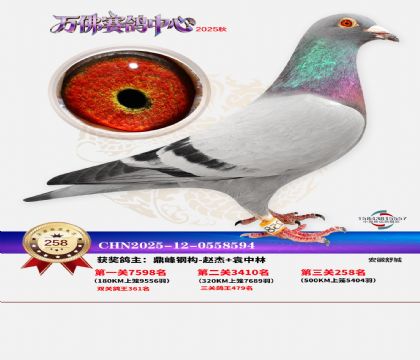 �����f��Qِ258��