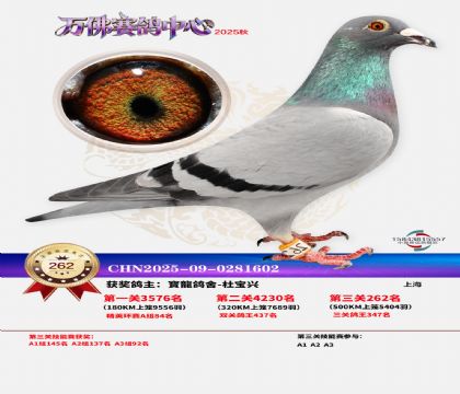 �����f��Qِ262��