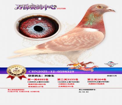 �����f��Qِ264��