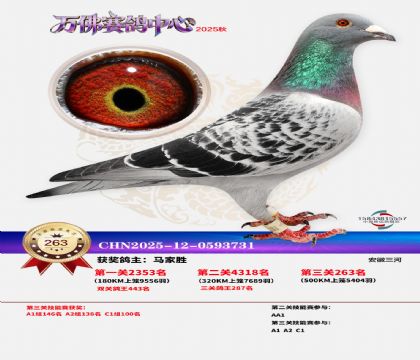 �����f��Qِ263��