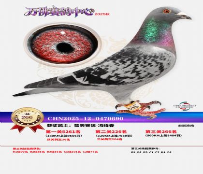 �����f��Qِ266��