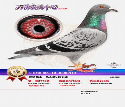 �����f��Qِ268��