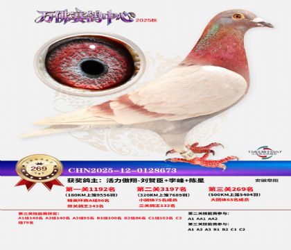 �����f��Qِ269��