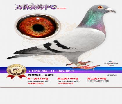 �����f��Qِ270��