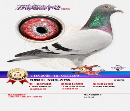 �����f��Qِ273��