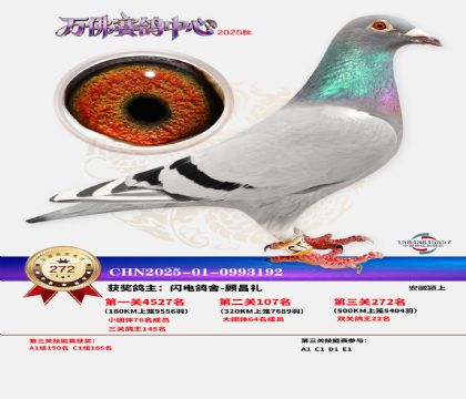 �����f��Qِ272��