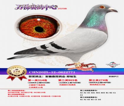 �����f��Qِ274��