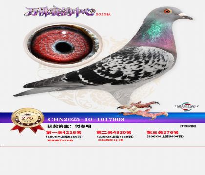 �����f��Qِ276��