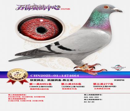 �����f��Qِ277��