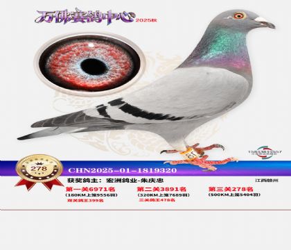 �����f��Qِ278��