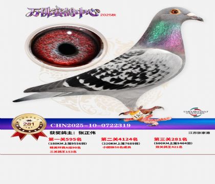 �����f��Qِ281��