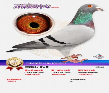 �����f��Qِ283��