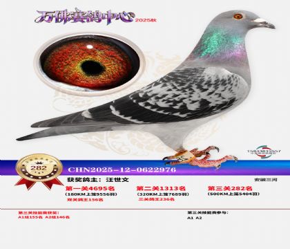 �����f��Qِ282��