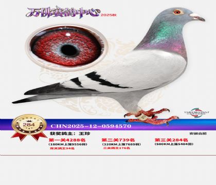 �����f��Qِ284��