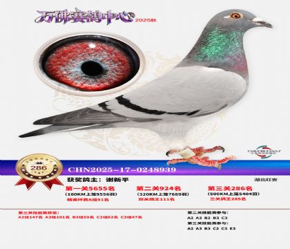 �����f��Qِ286��