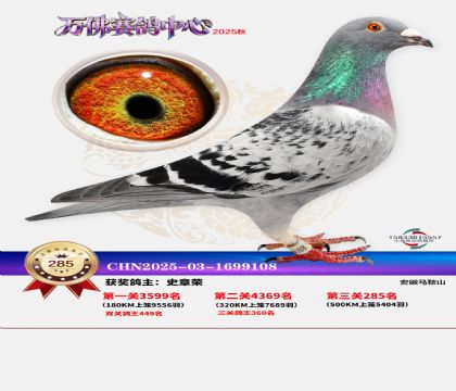 �����f��Qِ285��