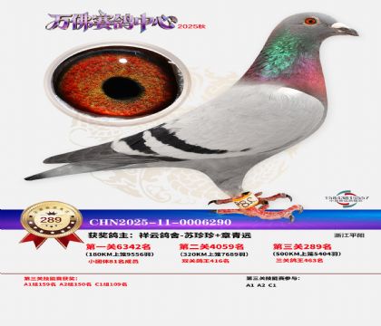 �����f��Qِ289��