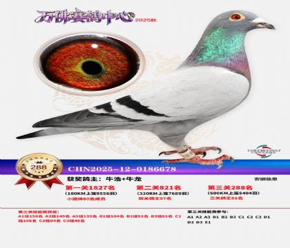 �����f��Qِ288��