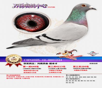 �����f��Qِ290��