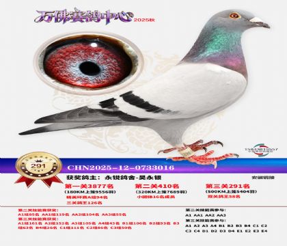 �����f��Qِ291��