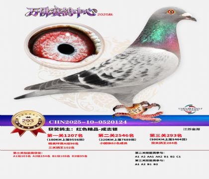 �����f��Qِ293��