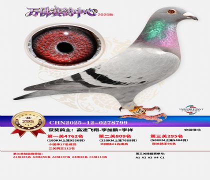 �����f��Qِ295��