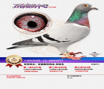 �����f��Qِ294��