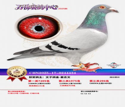 �����f��Qِ296��