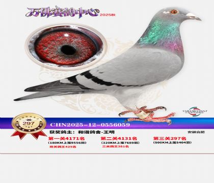 �����f��Qِ297��