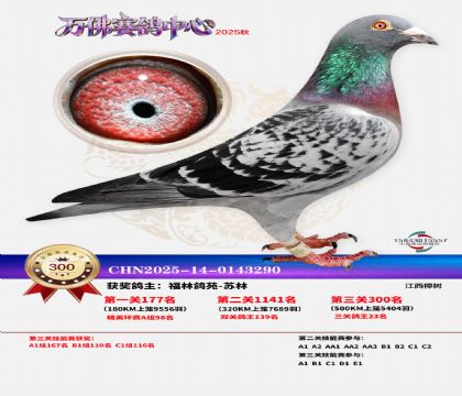 �����f��Qِ300��