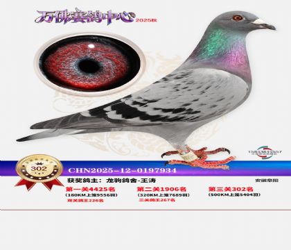 �����f��Qِ302��