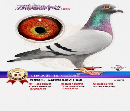 �����f��Qِ304��