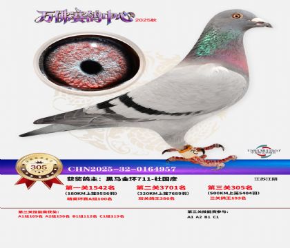 �����f��Qِ305��