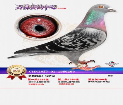 �����f��Qِ306��