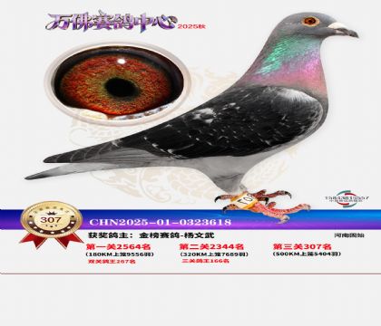 �����f��Qِ307��