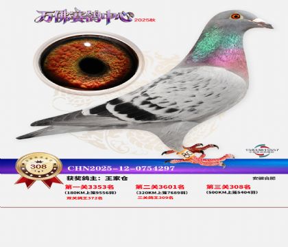 �����f��Qِ308��