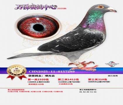 �����f��Qِ310��