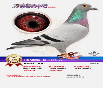 �����f��Qِ309��